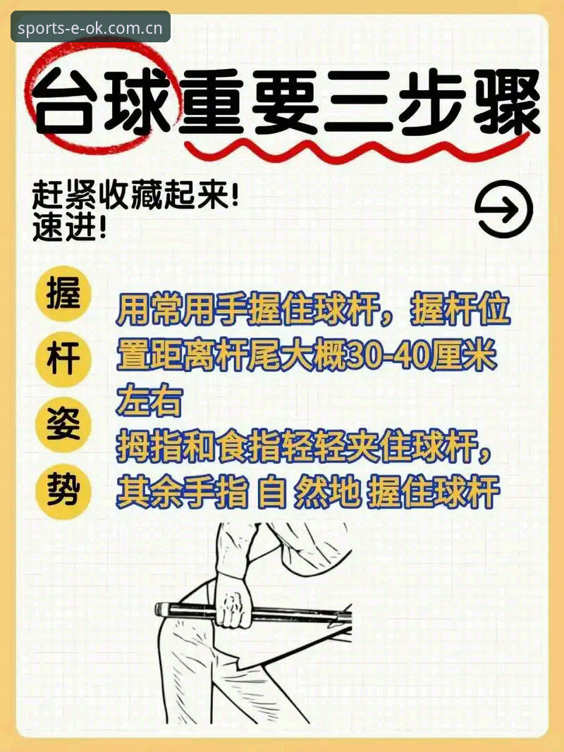 OK体育平台新手完整使用指南：从入口下载到投注体验全解析